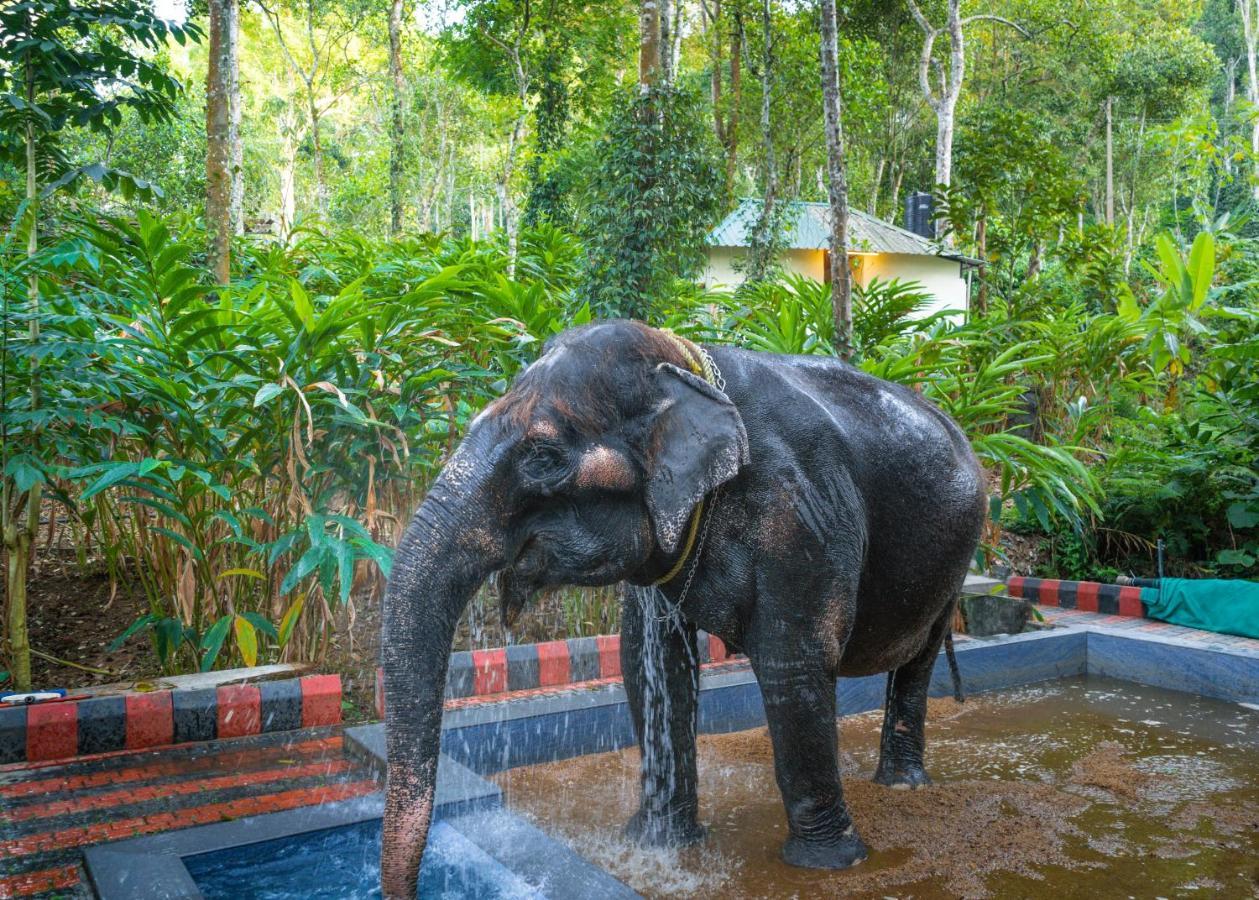 Amritara Shalimar Spice Garden Resort & Spa Thekkady Extérieur photo